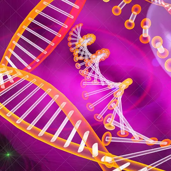 Chromotouch Chromosome SNP Microarray Optima